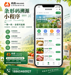 东营做去水印小程序多少钱？哪家开发公司靠谱